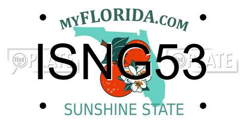 ISNG53 Florida License Plate