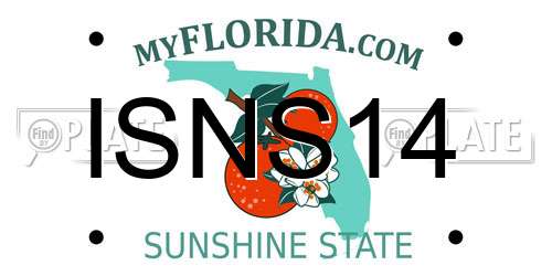 ISNS14 Florida License Plate