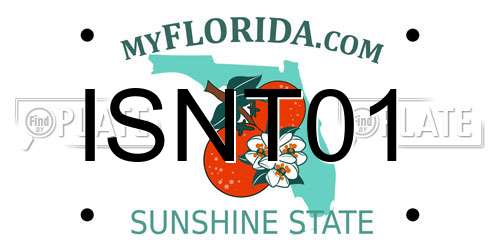 ISNT01 Florida License Plate
