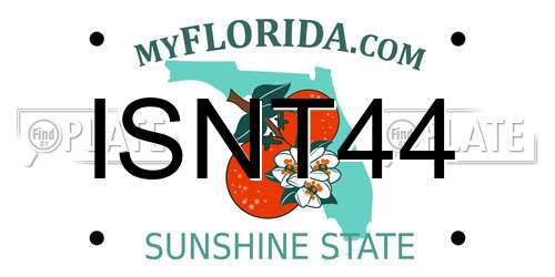 ISNT44 Florida License Plate