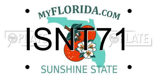 ISNT71 Florida License Plate