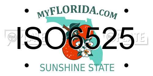 ISO6525 Florida License Plate