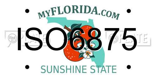 ISO6875 Florida License Plate