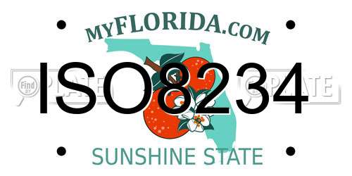 ISO8234 Florida License Plate