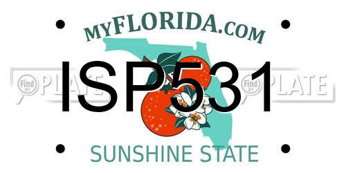 ISP531 Florida License Plate