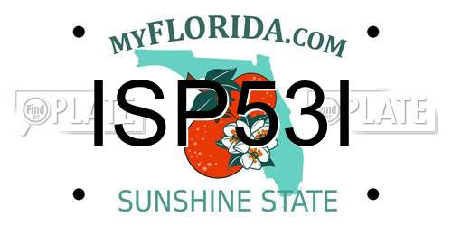 ISP53I Florida License Plate