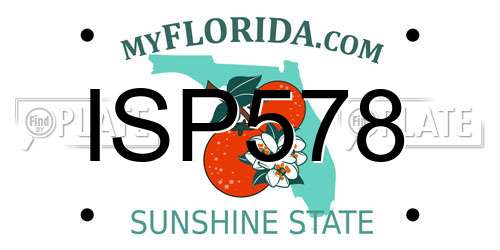 ISP578 Florida License Plate