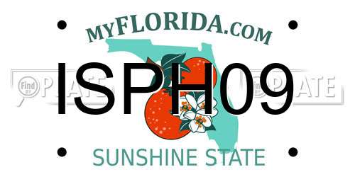 ISPH09 Florida License Plate