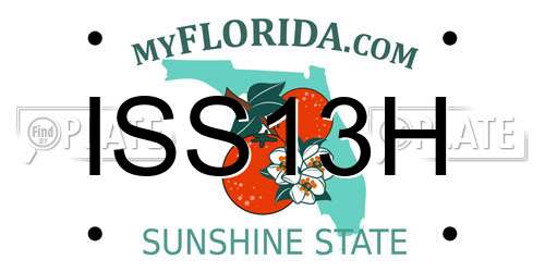 ISS13H Florida License Plate