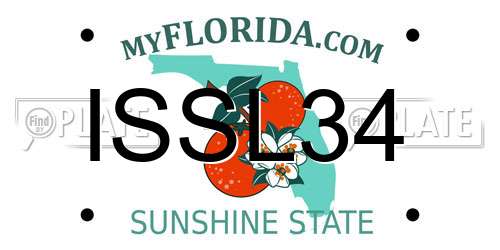 ISSL34 Florida License Plate