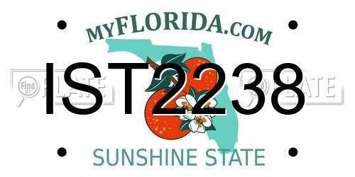 IST2238 Florida License Plate