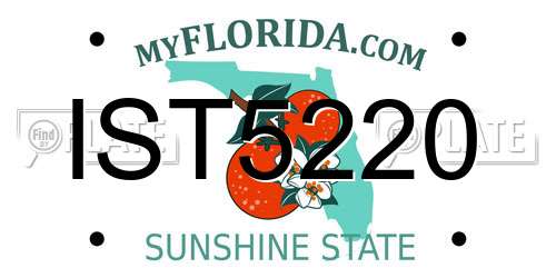 IST5220 Florida License Plate