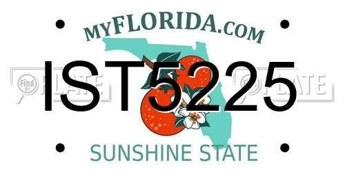 IST5225 Florida License Plate