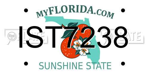 IST7238 Florida License Plate