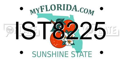 IST8225 Florida License Plate