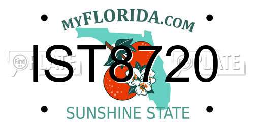 IST8720 Florida License Plate