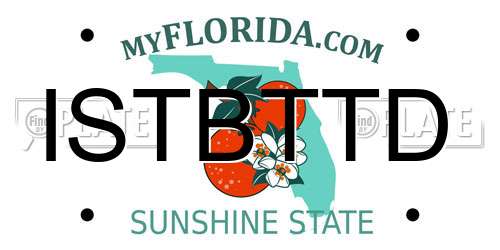 ISTBTTD Florida License Plate