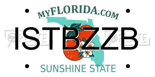 ISTBZZB Florida License Plate