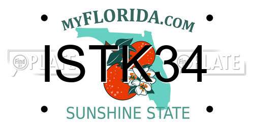 ISTK34 Florida License Plate