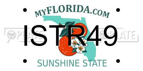 ISTR49 Florida License Plate