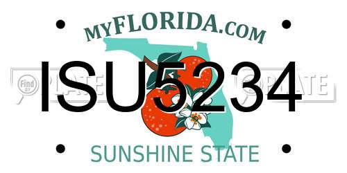 ISU5234 Florida License Plate