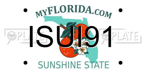 ISUI91 Florida License Plate