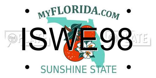 ISWE98 Florida License Plate