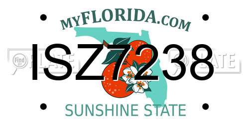 ISZ7238 Florida License Plate