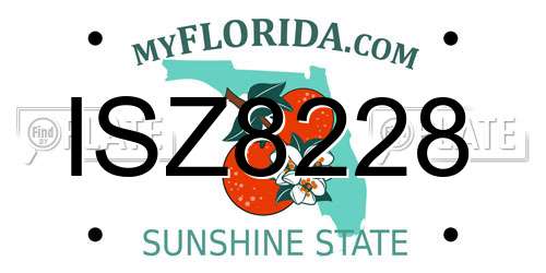 ISZ8228 Florida License Plate