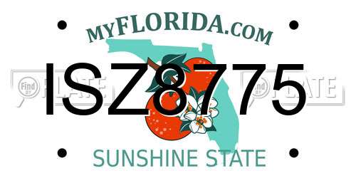 ISZ8775 Florida License Plate