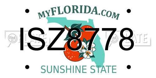 ISZ8778 Florida License Plate
