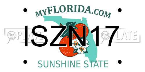 ISZN17 Florida License Plate