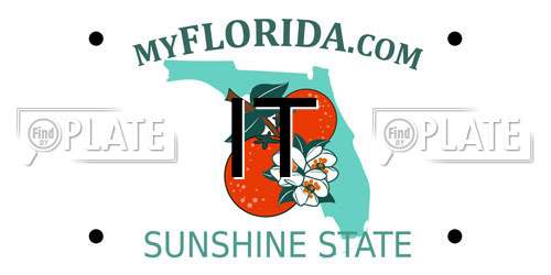 IT Florida License Plate