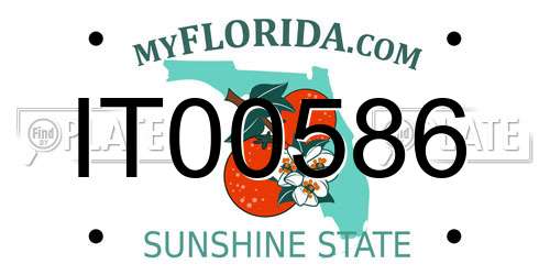 IT00586 Florida License Plate