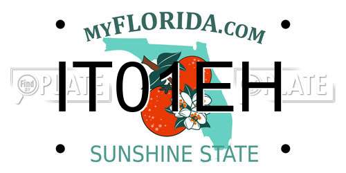 IT01EH Florida License Plate
