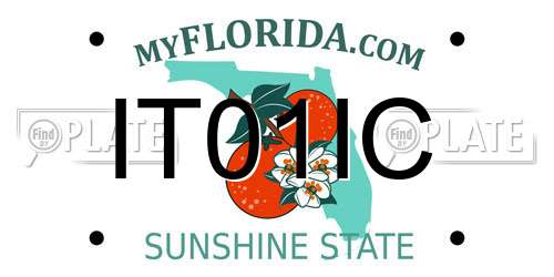 IT01IC Florida License Plate