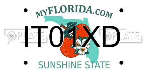 IT01XD Florida License Plate
