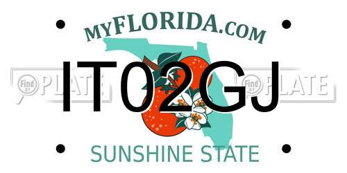 IT02GJ Florida License Plate