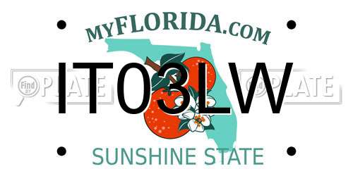 IT03LW Florida License Plate