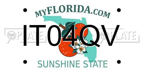 IT04QV Florida License Plate