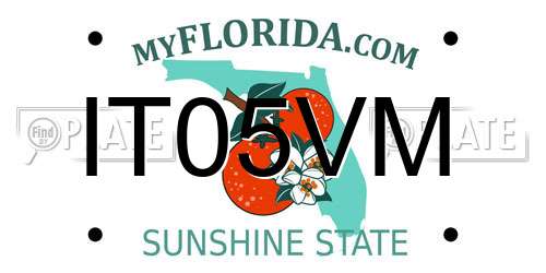 IT05VM Florida License Plate