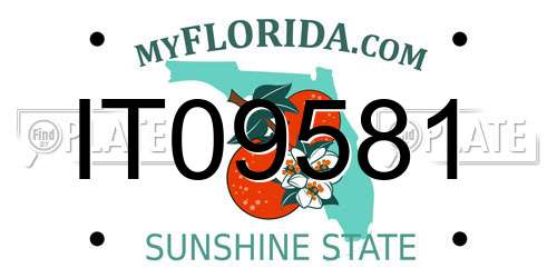 IT09581 Florida License Plate