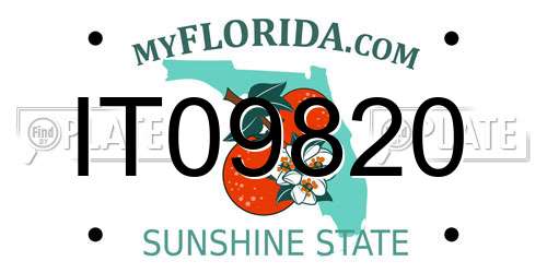 IT09820 Florida License Plate