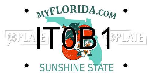 IT0B1 Florida License Plate