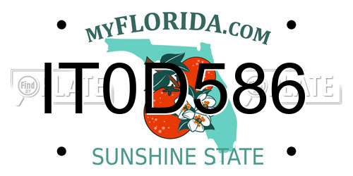 IT0D586 Florida License Plate