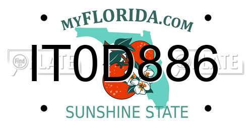 IT0D886 Florida License Plate