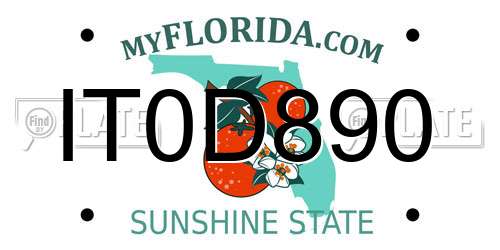 IT0D890 Florida License Plate