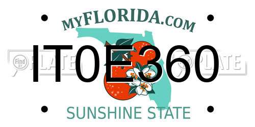 IT0E360 Florida License Plate