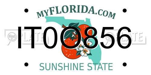 IT0O856 Florida License Plate