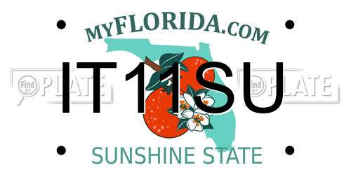 IT11SU Florida License Plate